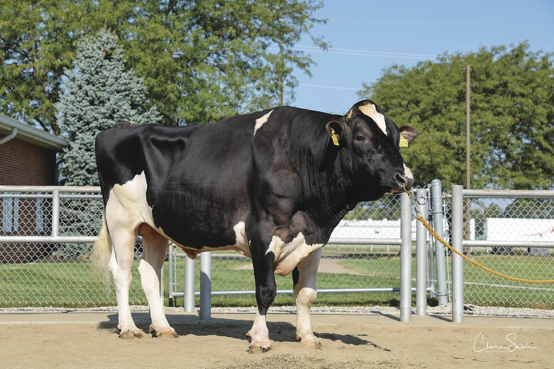 August 2022 Holstein Sire Summary Review - YouTube